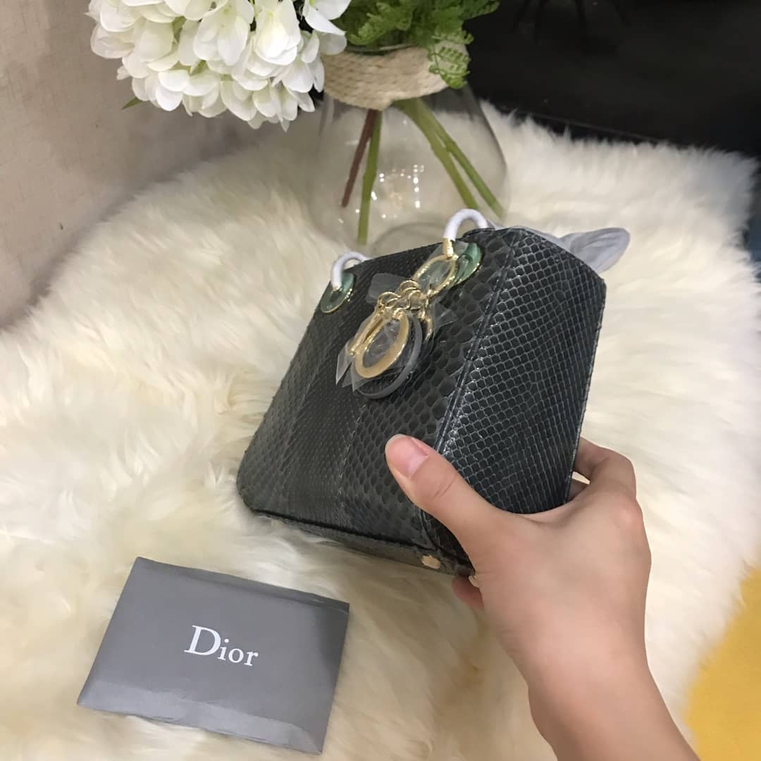 Chr1st1an D10r Lady D10r 17CM Replica Bag