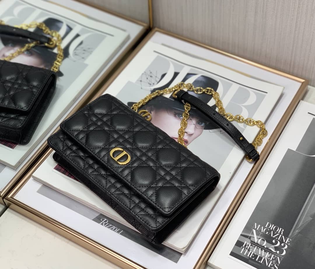 Chr1st1an D10r Caro Chain Belt Replica Pouch