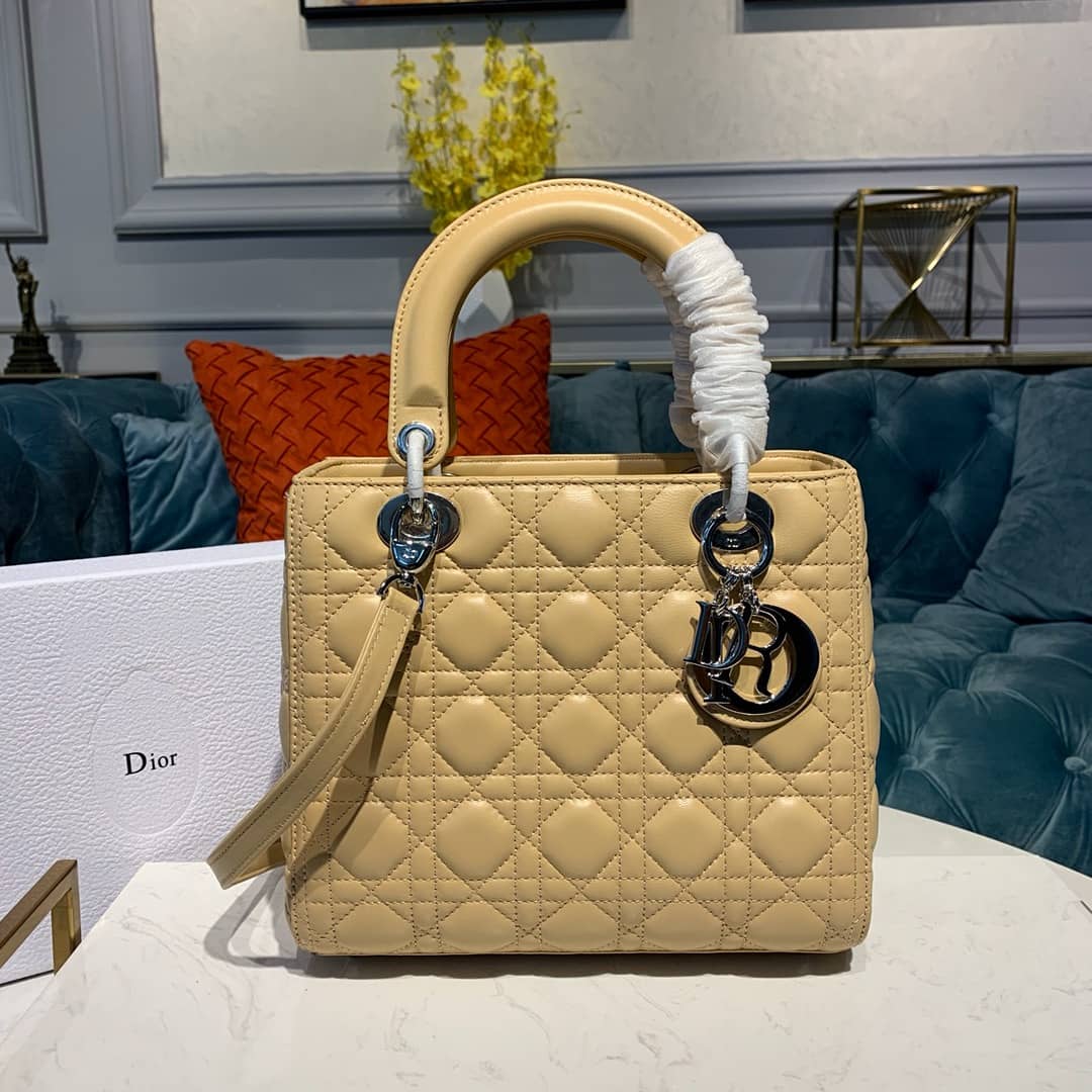 Chr1st1an D10r Lady D10r 24CM Replica Bag