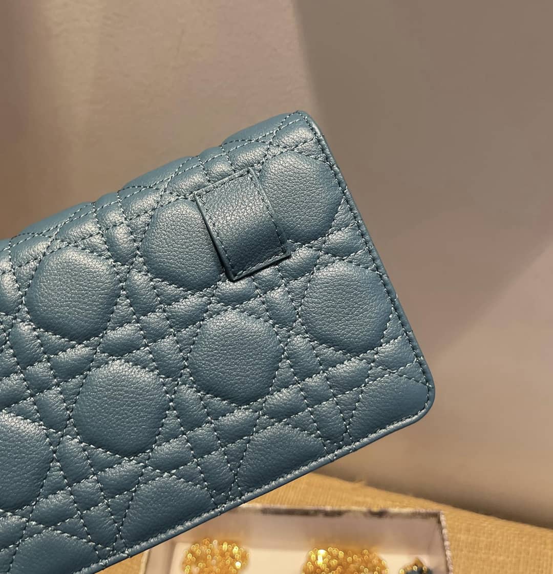 Chr1st1an D10r Caro Chain Belt Replica Pouch