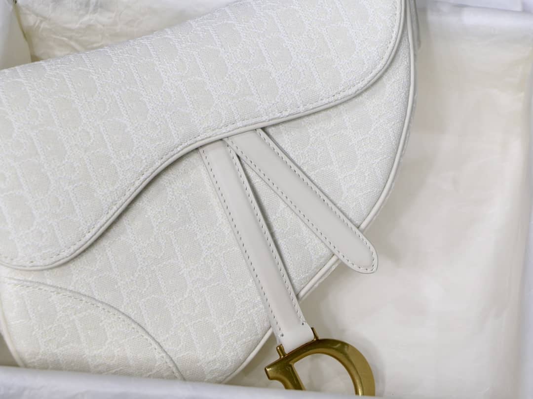 Chr1st1an D10r Saddle 25.5CM Replica Bag