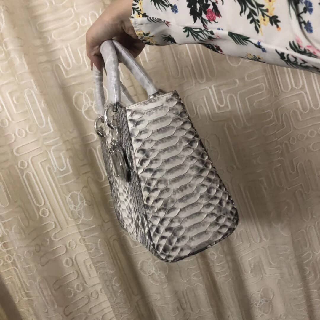 Chr1st1an D10r Lady D10r 24CM Replica Bag