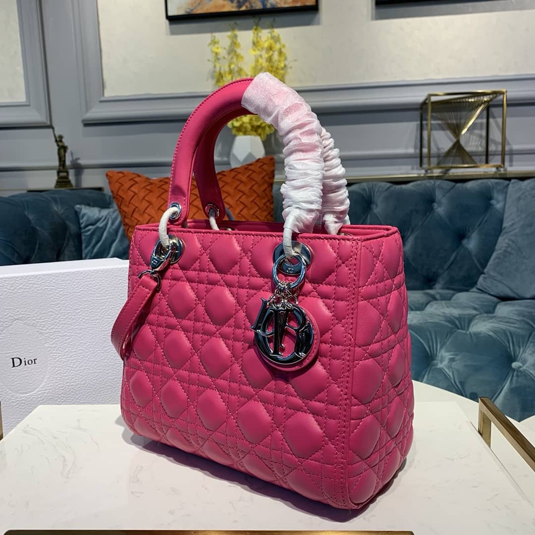 Chr1st1an D10r Lady D10r 24CM Replica Bag