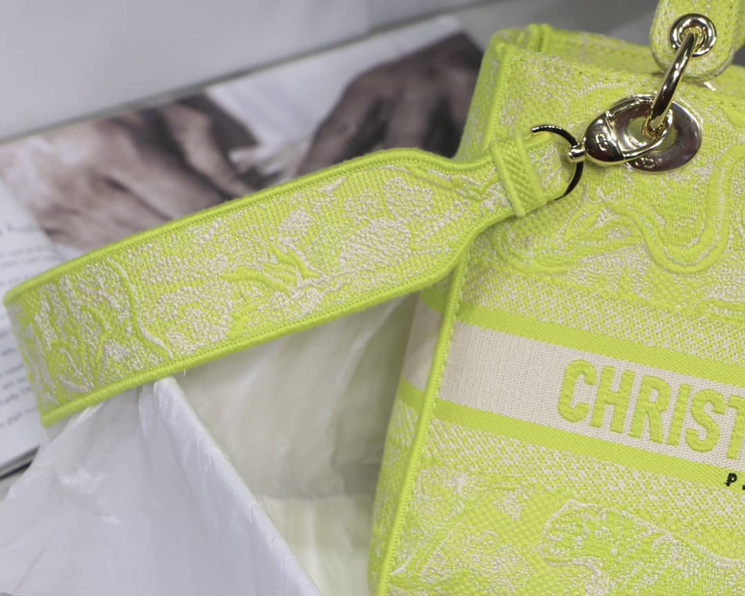 Lady D10r Dupe 24CM Paisley Embroidery Lady D-Lite Bag