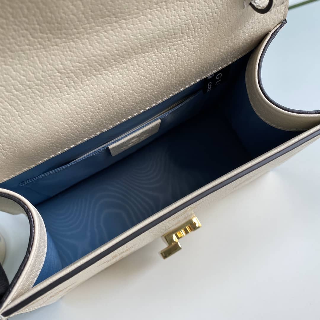 Gvc*1 Womens Sylvie Leather Mini Bag Replica 470270