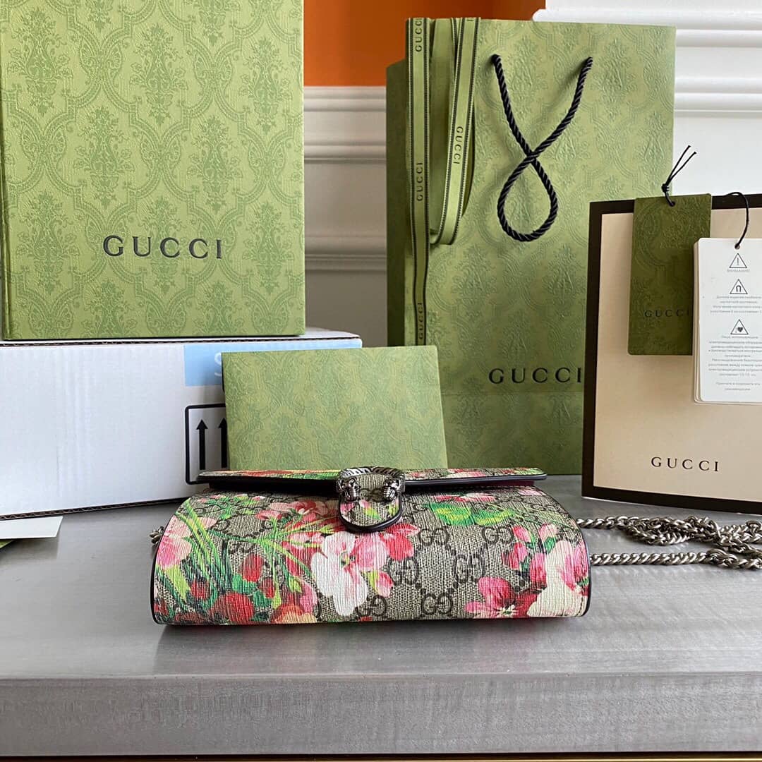 Gvc*1 Dionysus Chain Wallet Shoulder Bag Replica Brown 401231