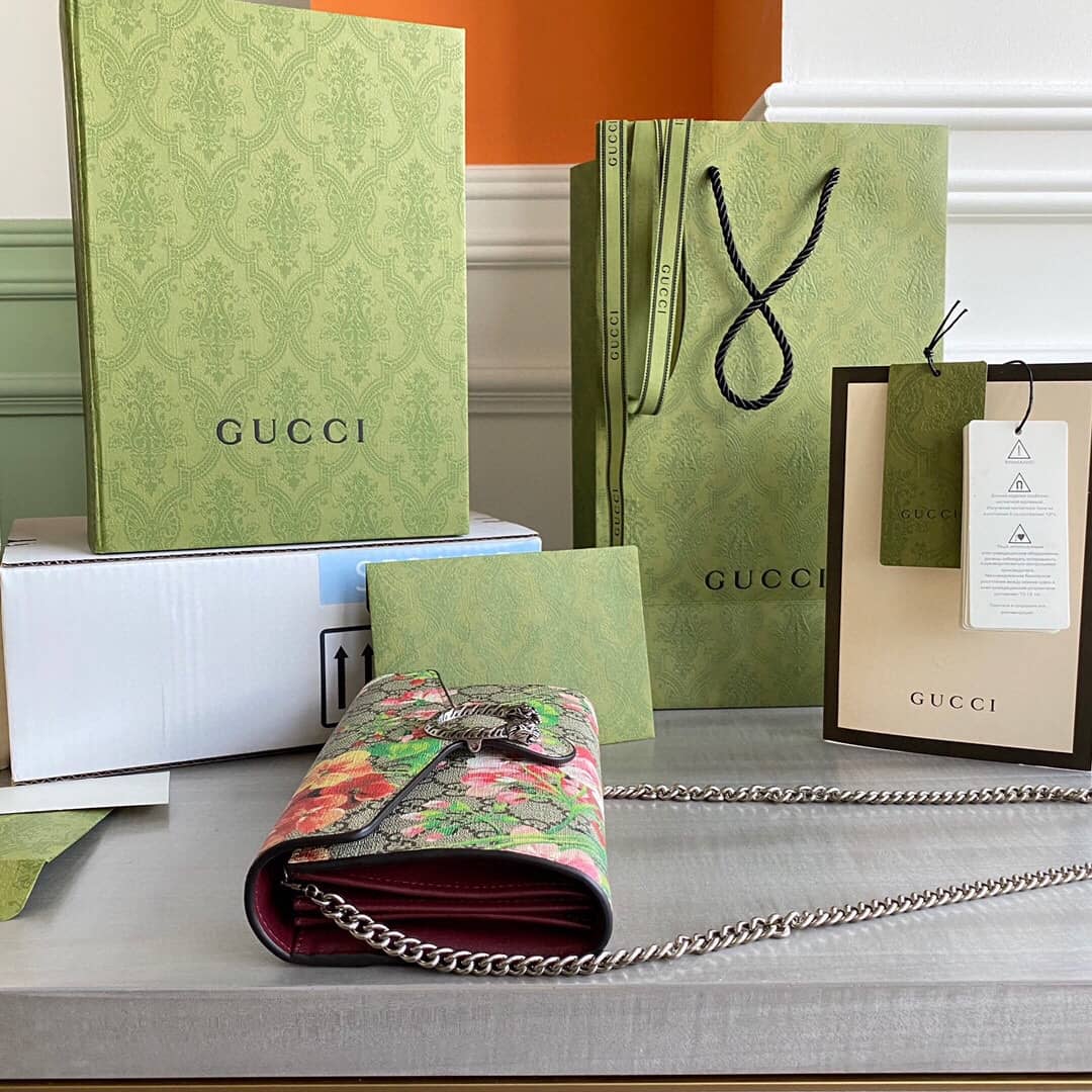 Gvc*1 Dionysus Chain Wallet Shoulder Bag Replica Brown 401231