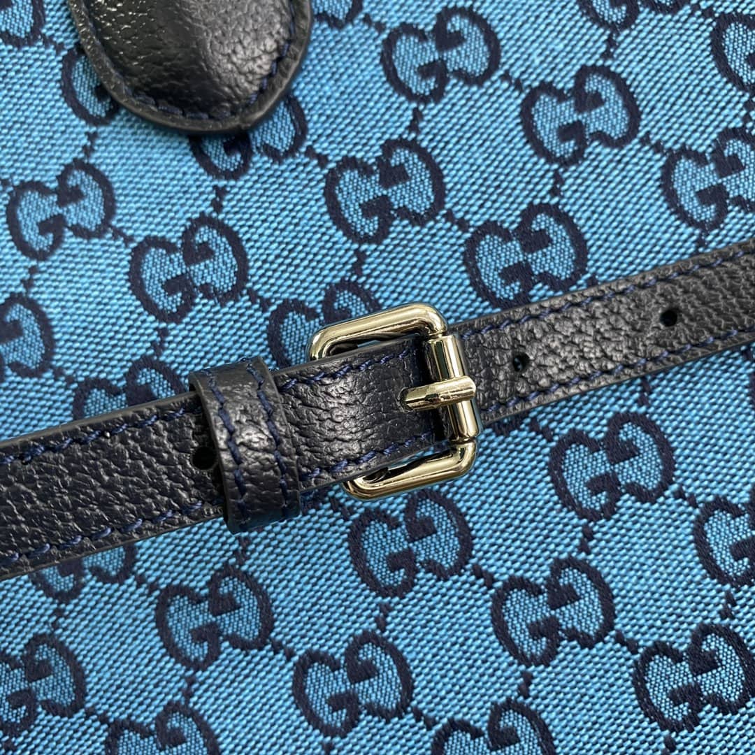 Gvc*1 Les Pommes Small GG 2Way Tote Replica 659983