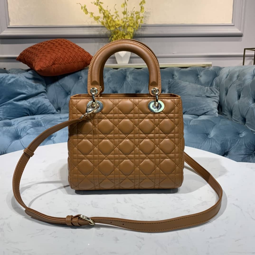 Lady D10r Dupe 24CM Replica Bag(Cola)