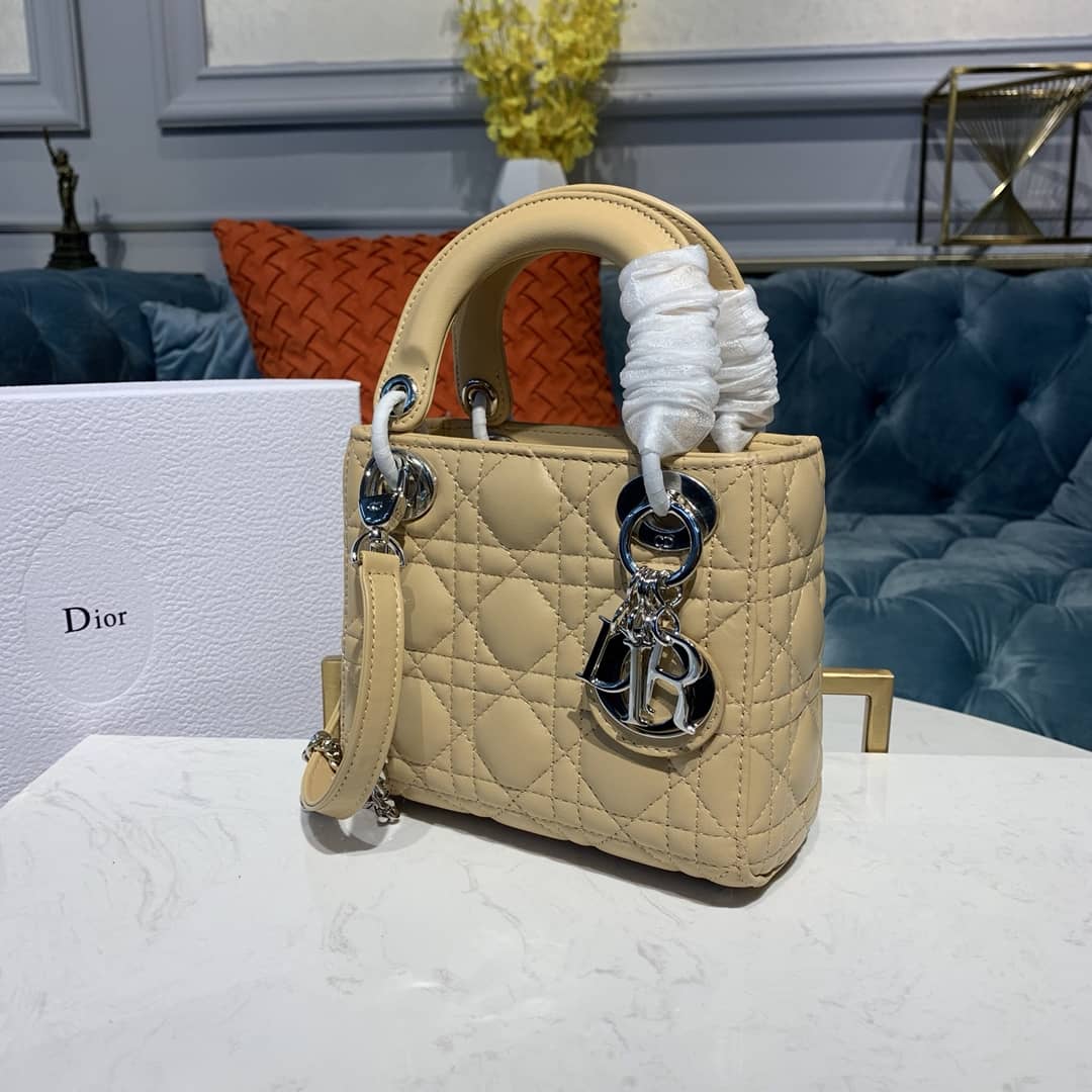 Chr1st1an D10r Lady D10r 17CM Replica Bag