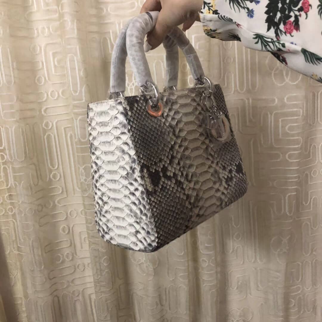 Chr1st1an D10r Lady D10r 24CM Replica Bag