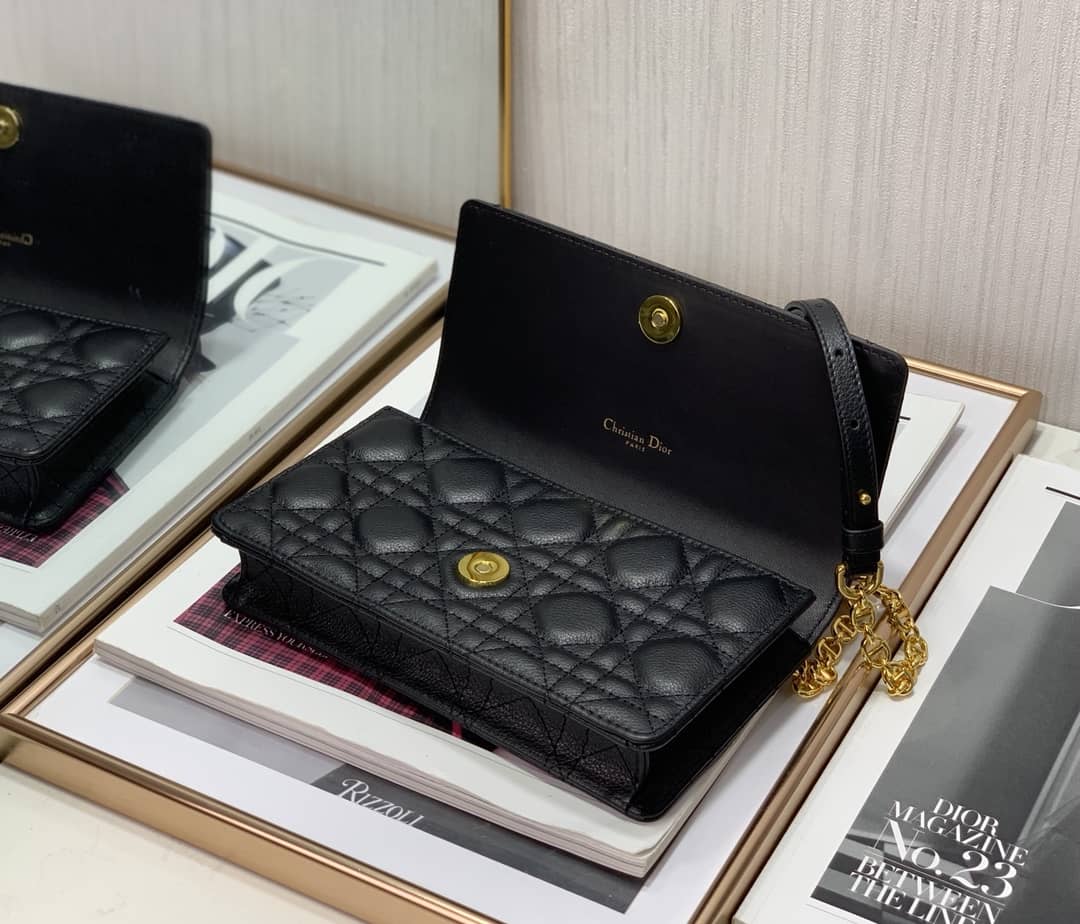 Chr1st1an D10r Caro Chain Belt Replica Pouch