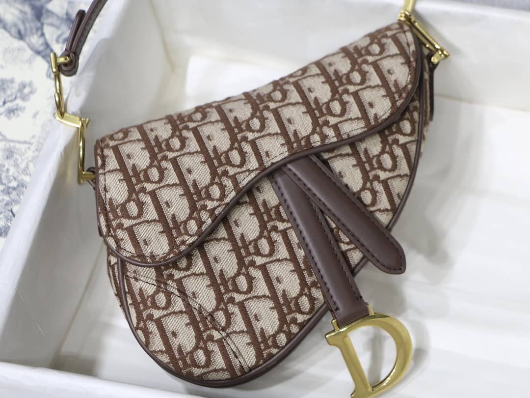 Chr1st1an D10r Replica Saddle Bag