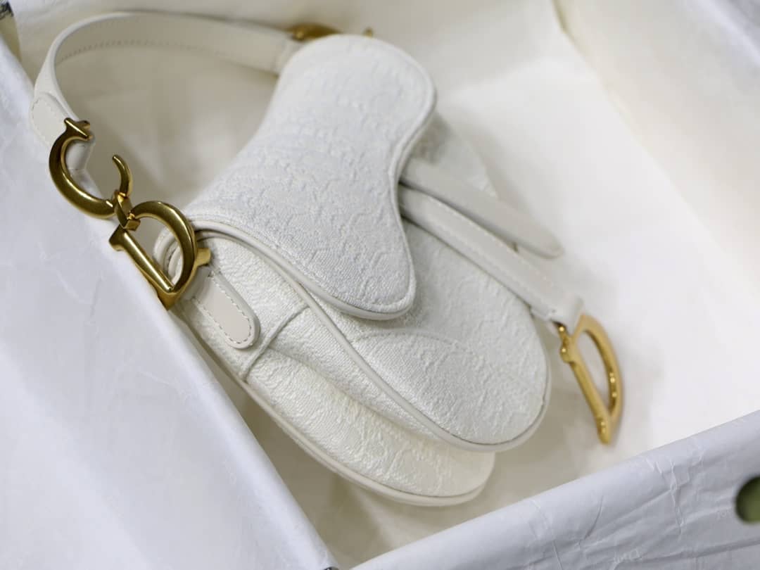 D10r Dupe Saddle Bag