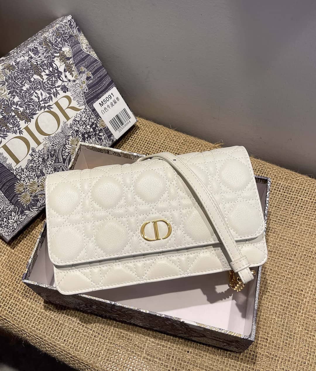 D10r Dupe Caro Chain Belt Pouch