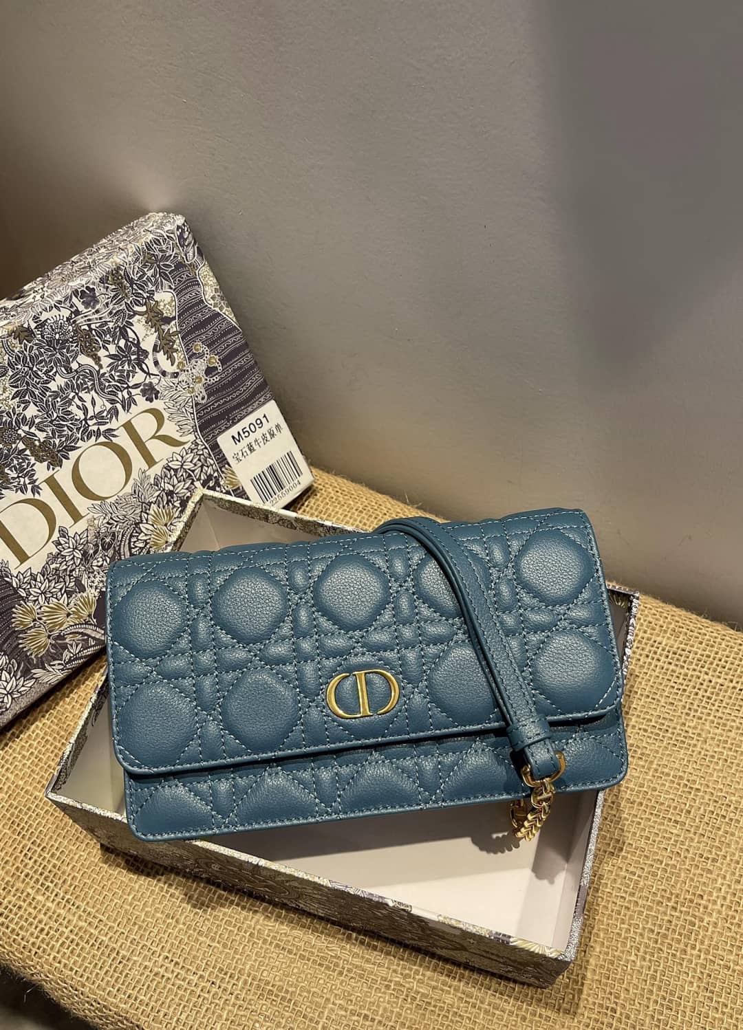 Chr1st1an D10r Caro Chain Belt Replica Pouch