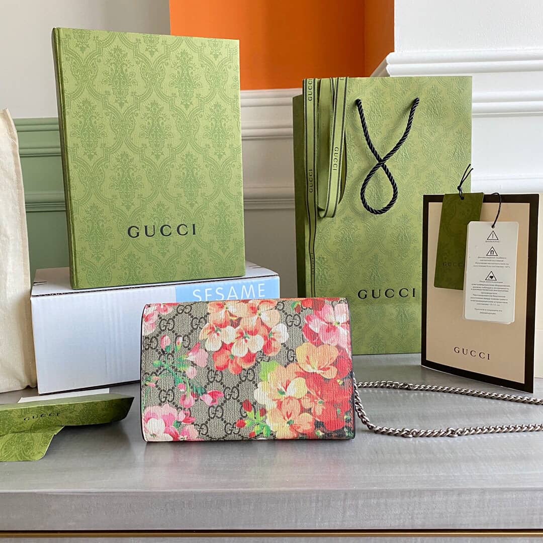 Gvc*1 Dionysus Chain Wallet Shoulder Bag Replica Brown 401231