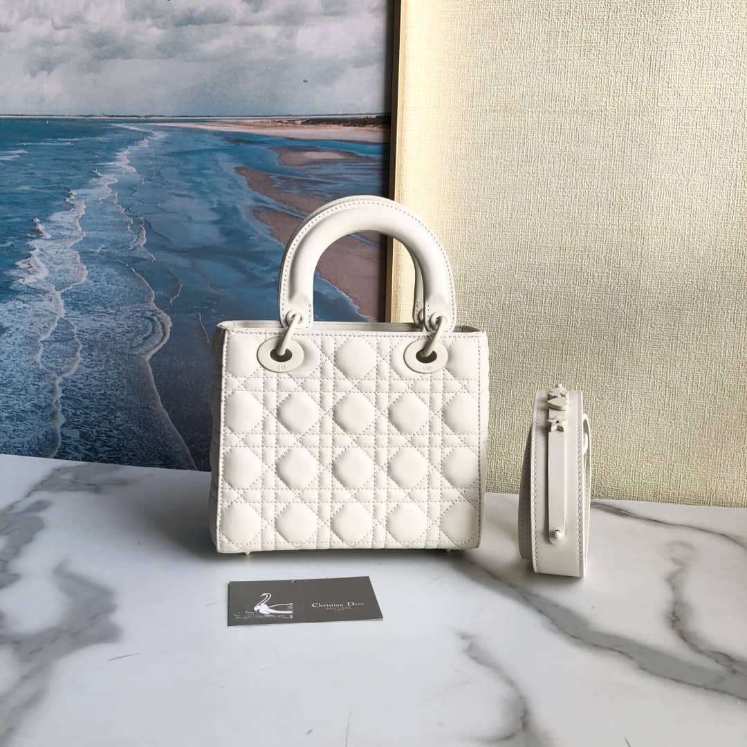 Chr1st1an D10r Lady D10r 20CM Replica Bag