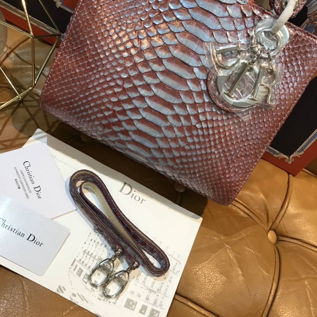 Chr1st1an D10r Lady D10r 24CM Replica Bag