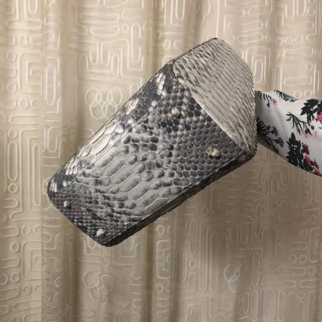 Chr1st1an D10r Lady D10r 24CM Replica Bag