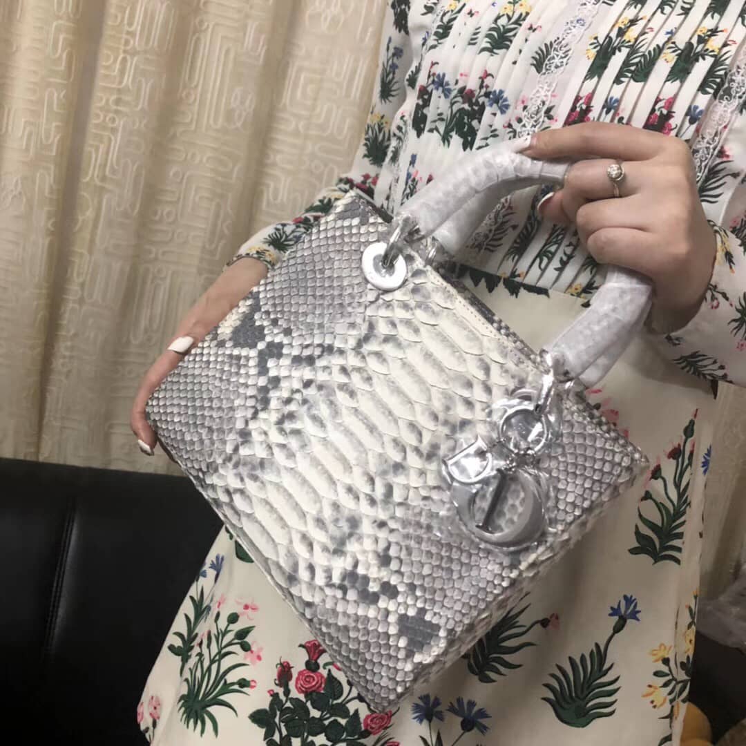 Chr1st1an D10r Lady D10r 24CM Replica Bag