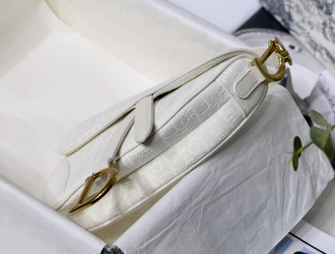 Chr1st1an D10r Replica Saddle Bag