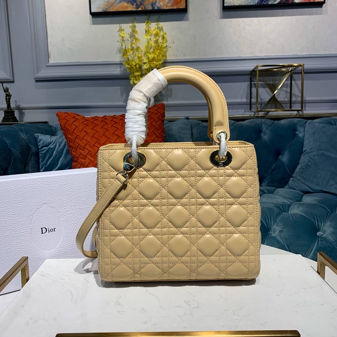 Chr1st1an D10r Lady D10r 24CM Replica Bag