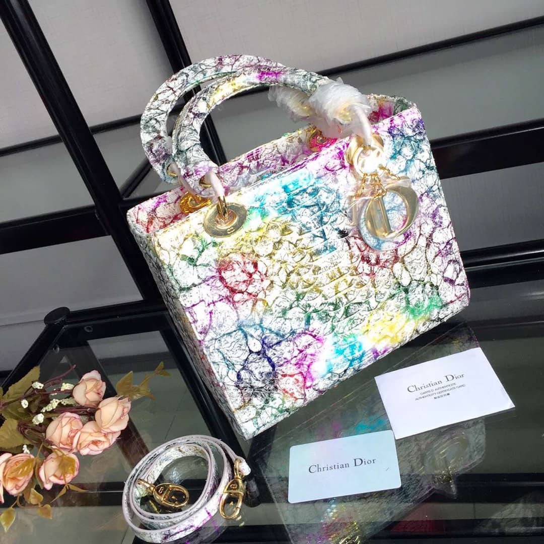 Chr1st1an D10r Lady D10r 24CM Replica Bag