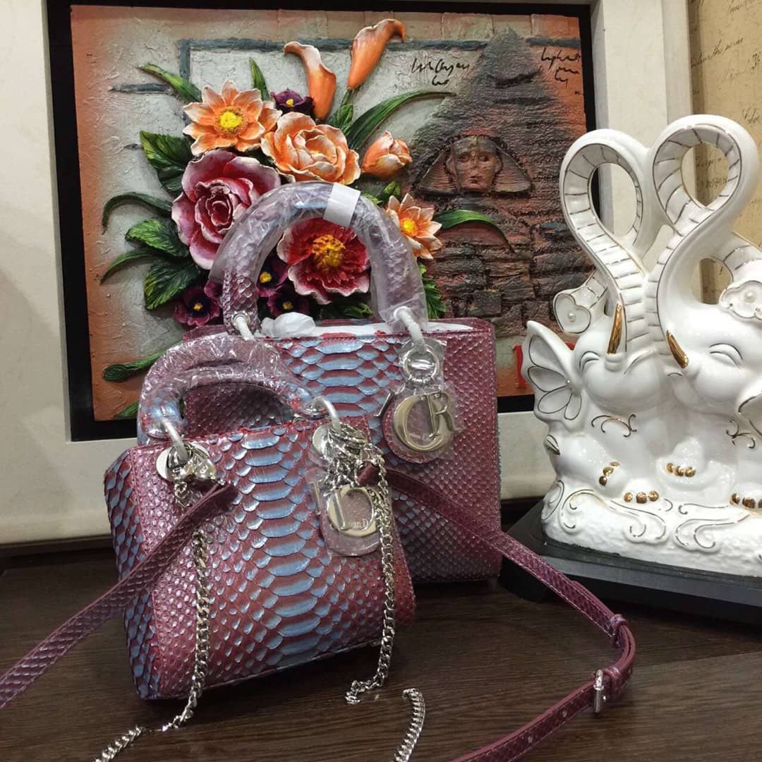 Chr1st1an D10r Lady D10r 24CM Replica Bag