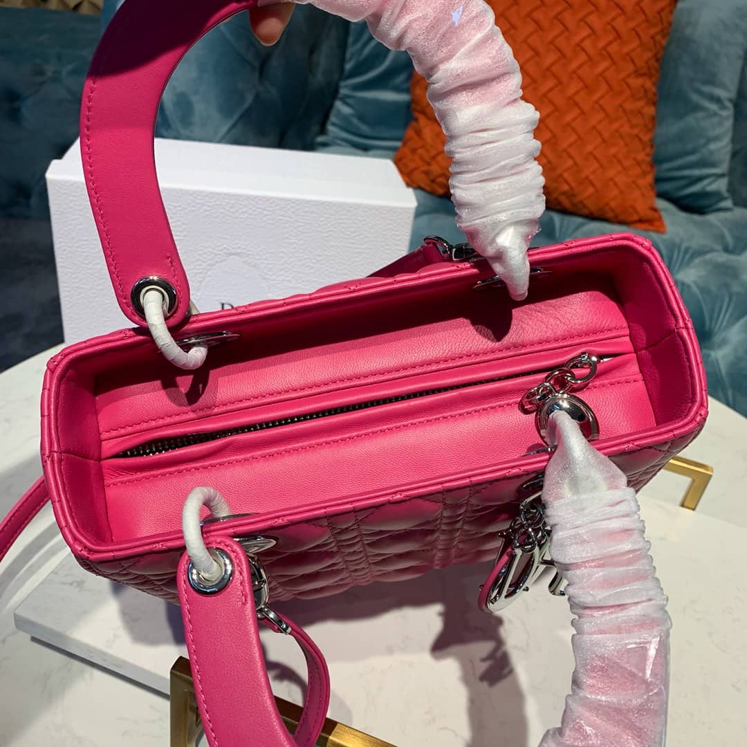 Chr1st1an D10r Lady D10r 24CM Replica Bag