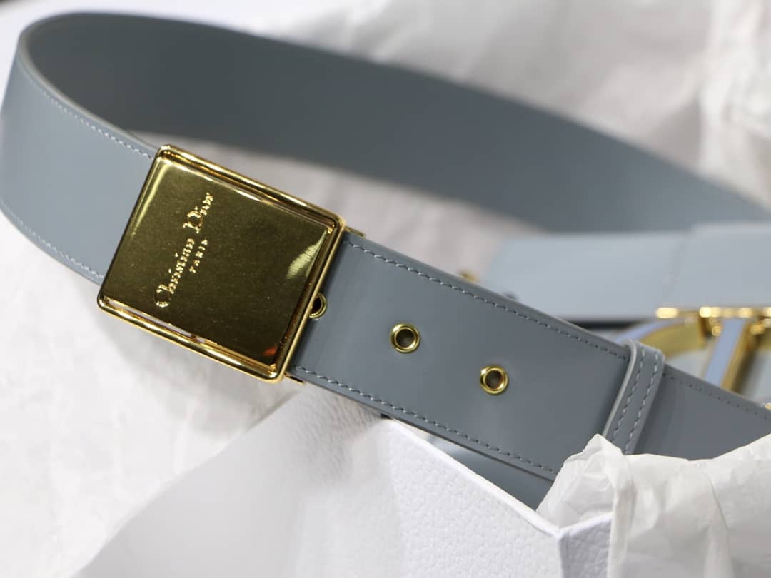 Chr1st1an D10r Montaigne Replica Bag