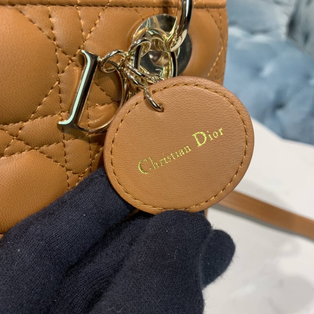 Lady D10r Dupe 24CM Replica Bag(Cola)