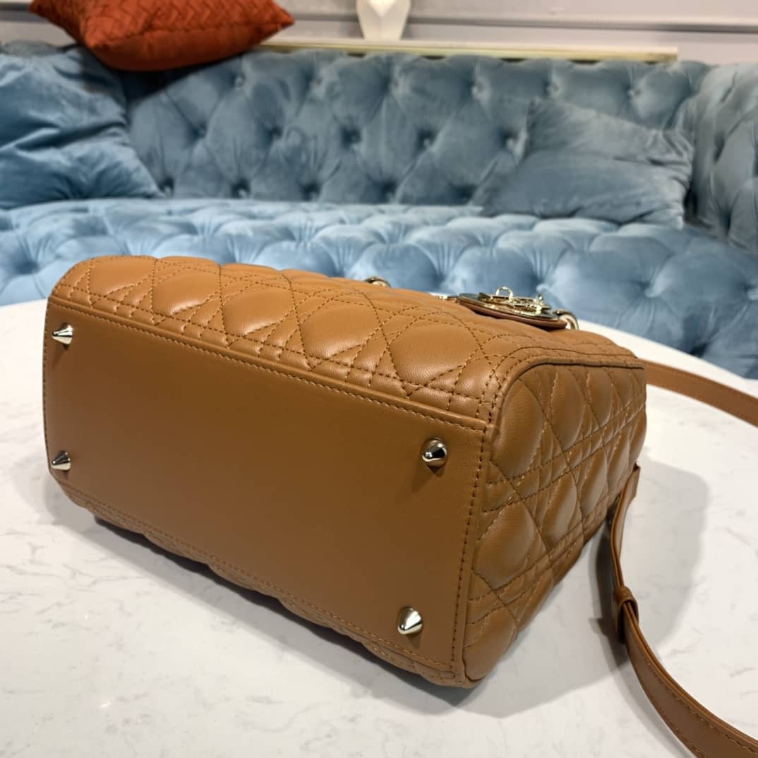 Lady D10r Dupe 24CM Replica Bag(Cola)