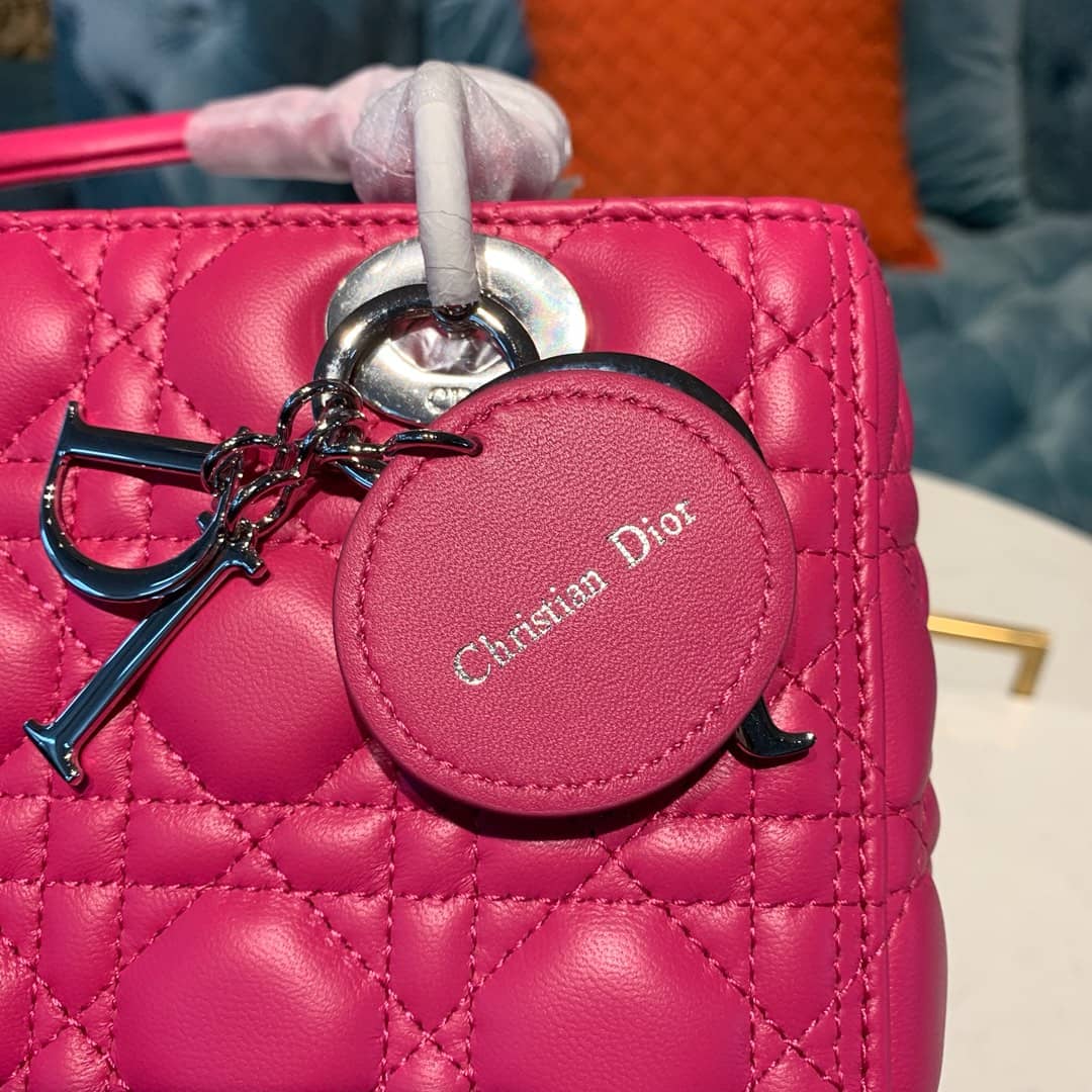 Chr1st1an D10r Lady D10r 24CM Replica Bag