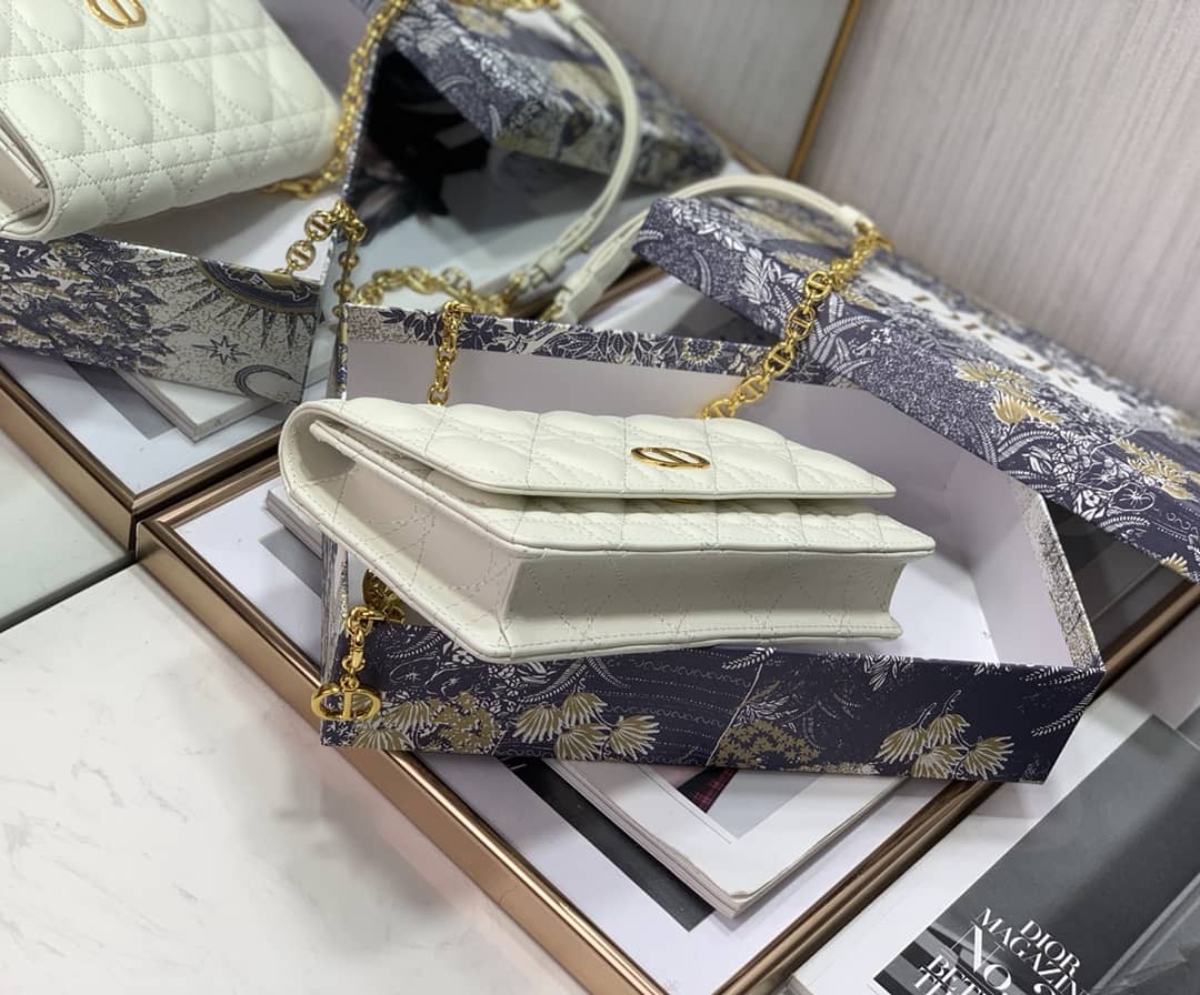 Chr1st1an D10r Caro Chain Belt Replica Pouch