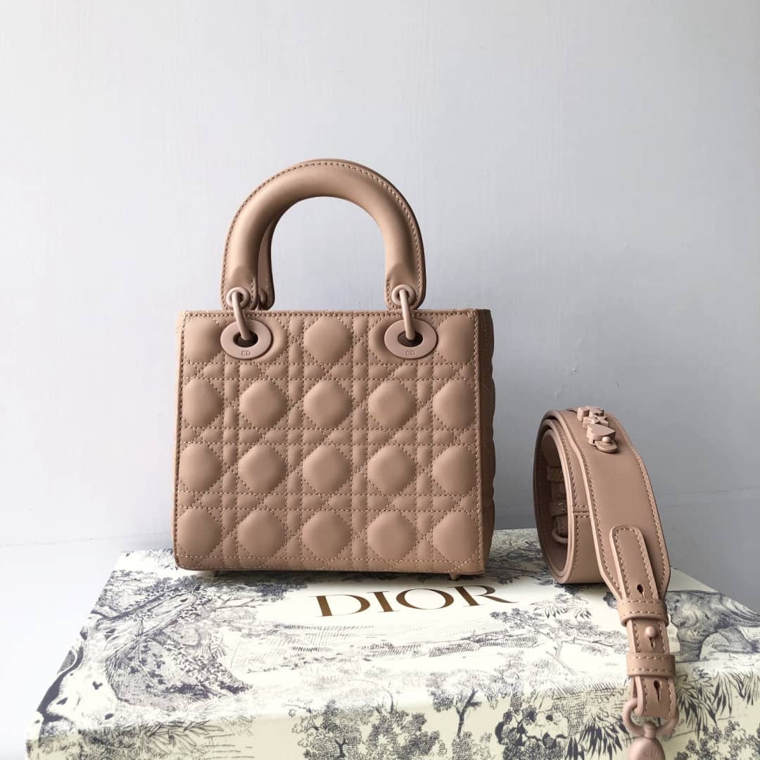 Chr1st1an D10r Lady D10r 20CM Replica Bag