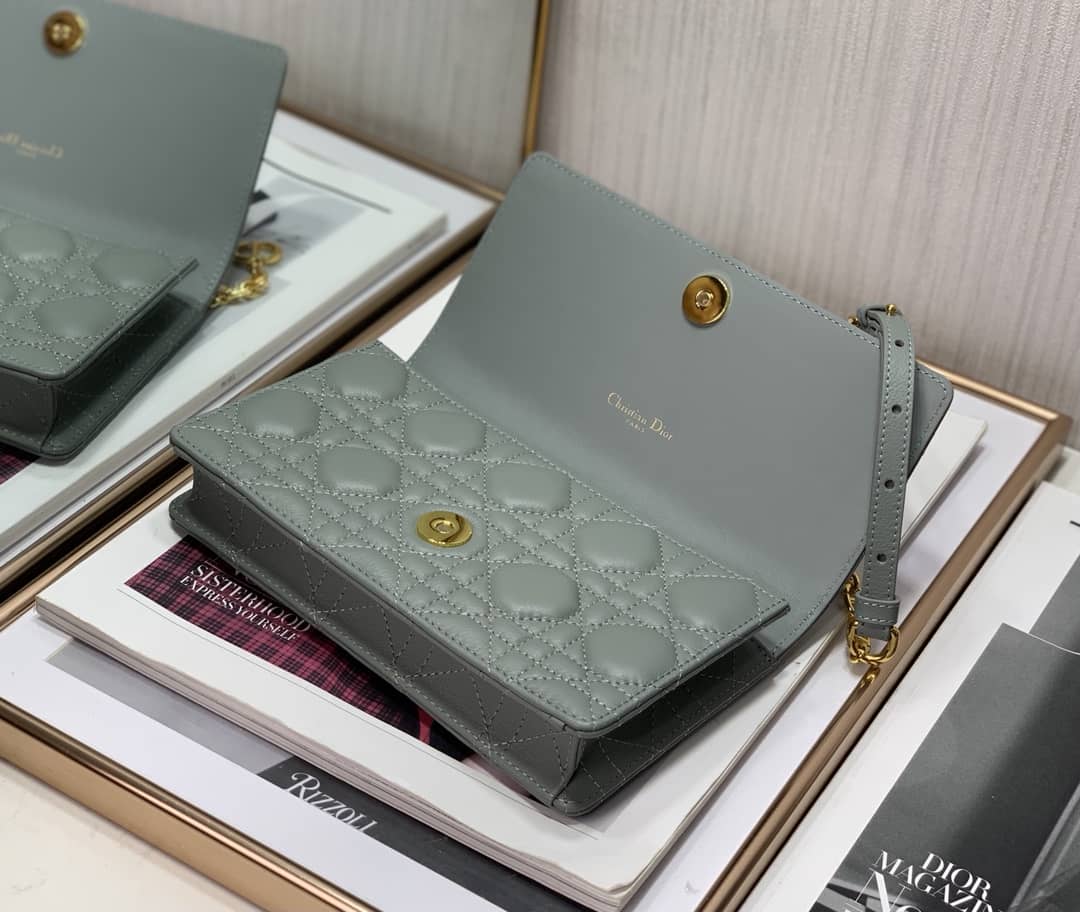 Chr1st1an D10r Caro Chain Belt Replica Pouch