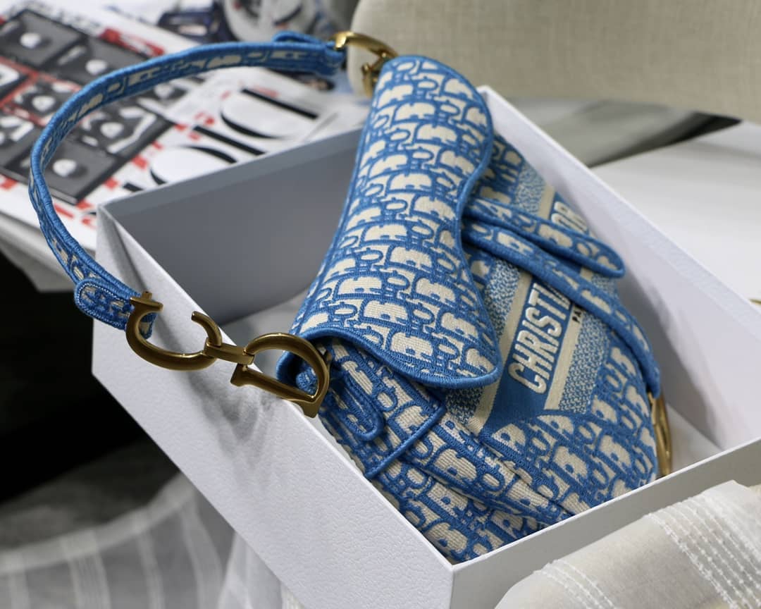 Chr1st1an D10r Saddle 25.5CM Replica Bag