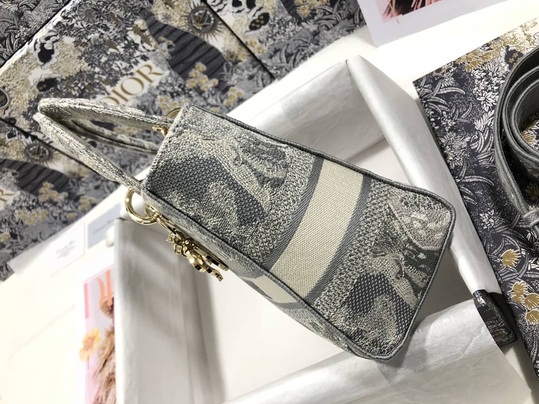 Lady D10r Dupe 24CM Replica Bag