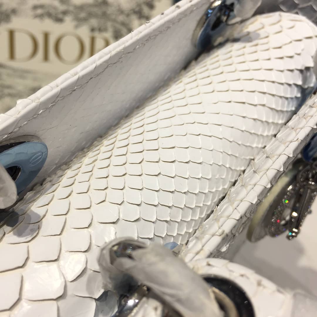 Chr1st1an D10r Lady D10r 17CM Replica Bag