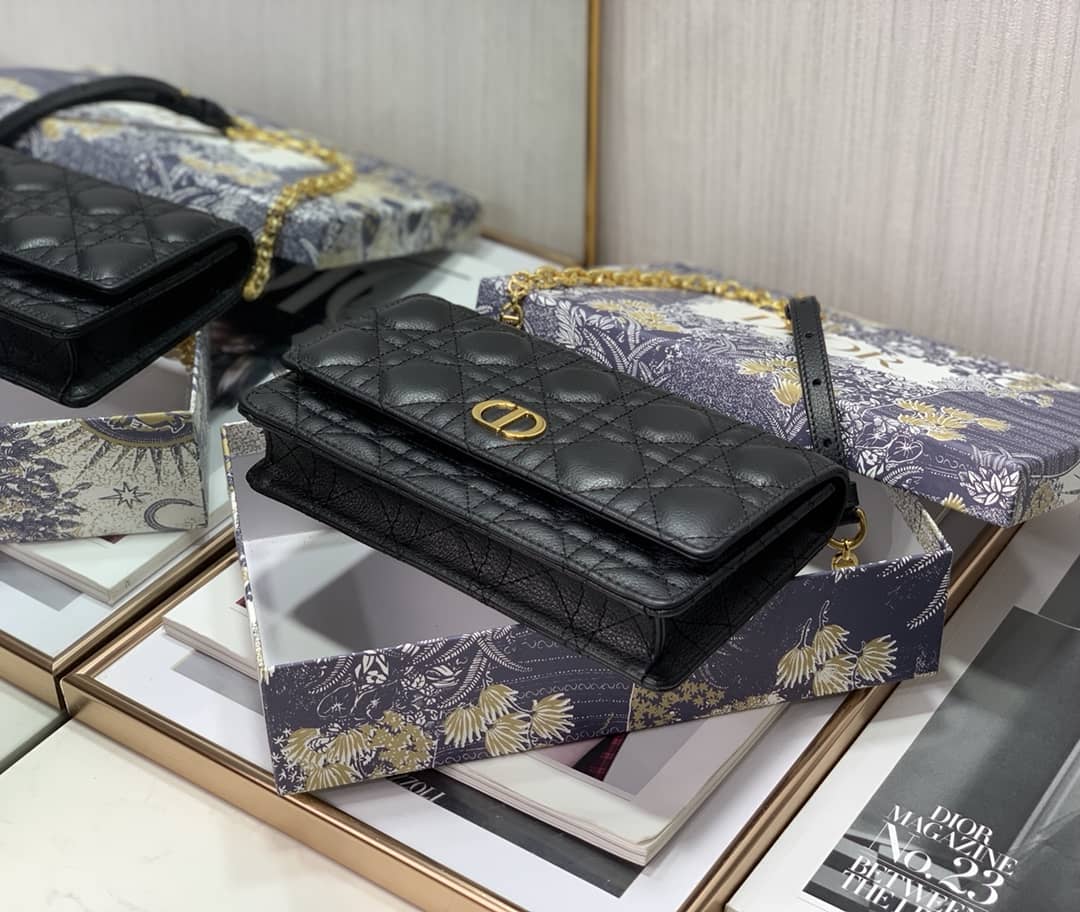 Chr1st1an D10r Caro Chain Belt Replica Pouch