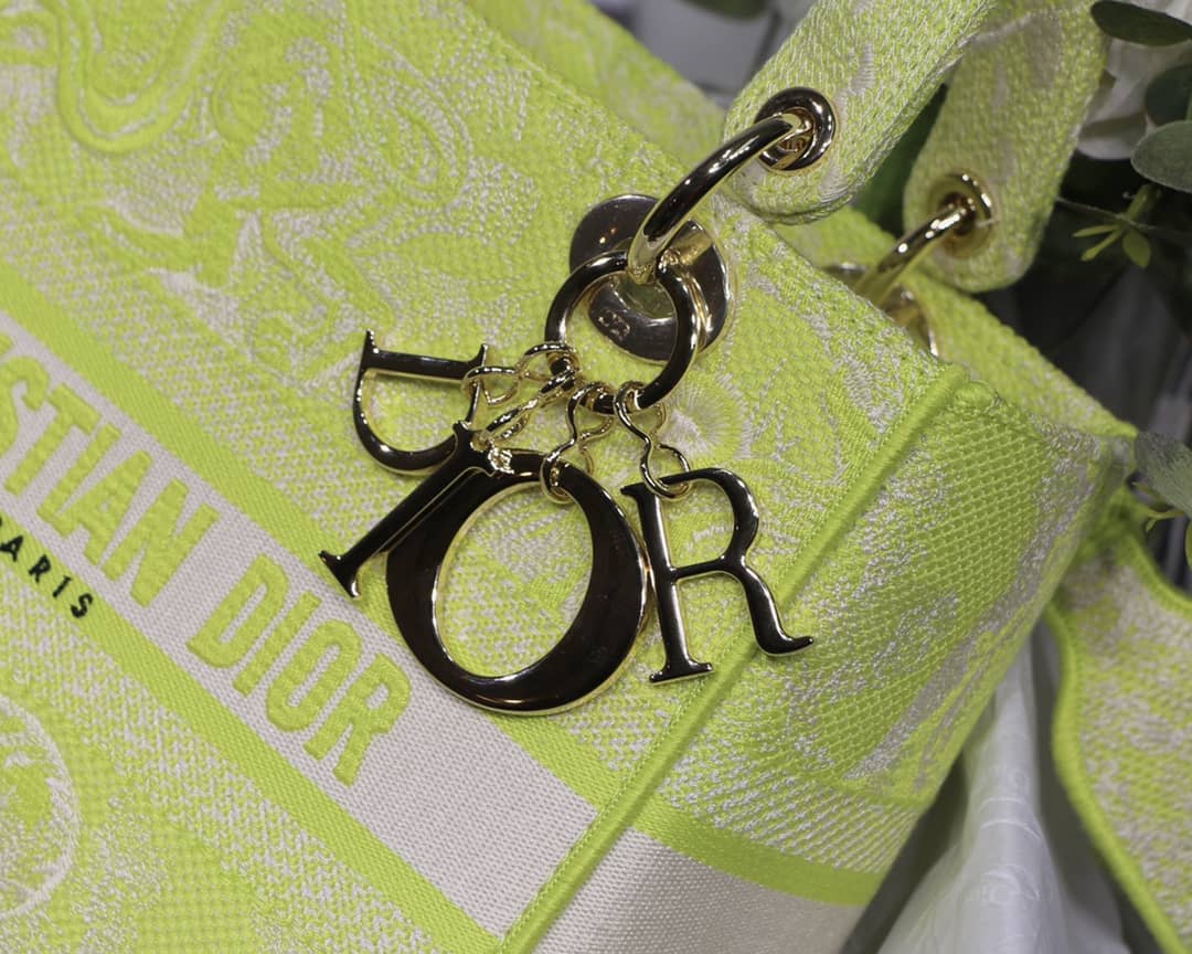 Lady D10r Dupe 24CM Paisley Embroidery Lady D-Lite Bag