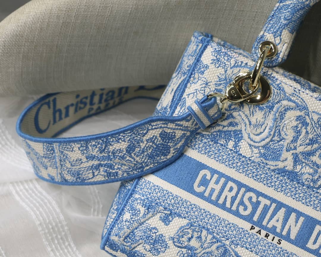 Lady D10r Dupe 24CM Paisley Embroidery Lady D-Lite Bag