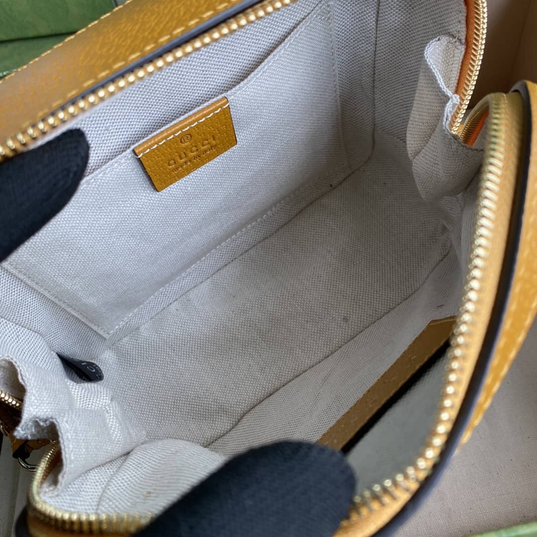 Gvc*1 Ophidia GG Mini Shoulder Bag Replica 602576