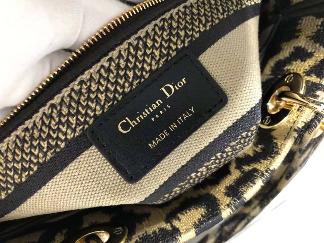 Chr1st1an D10r Lady D10r 24CM Replica Bag