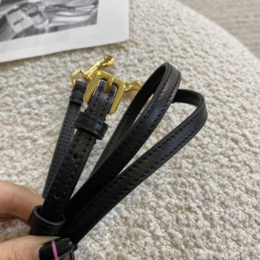 Chr1st1an D10r Caro Double Pouch