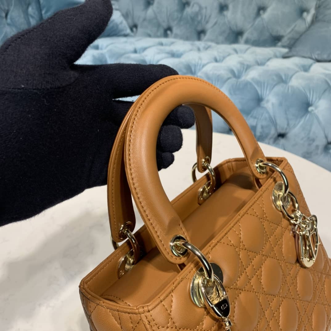 Lady D10r Dupe 24CM Replica Bag(Cola)