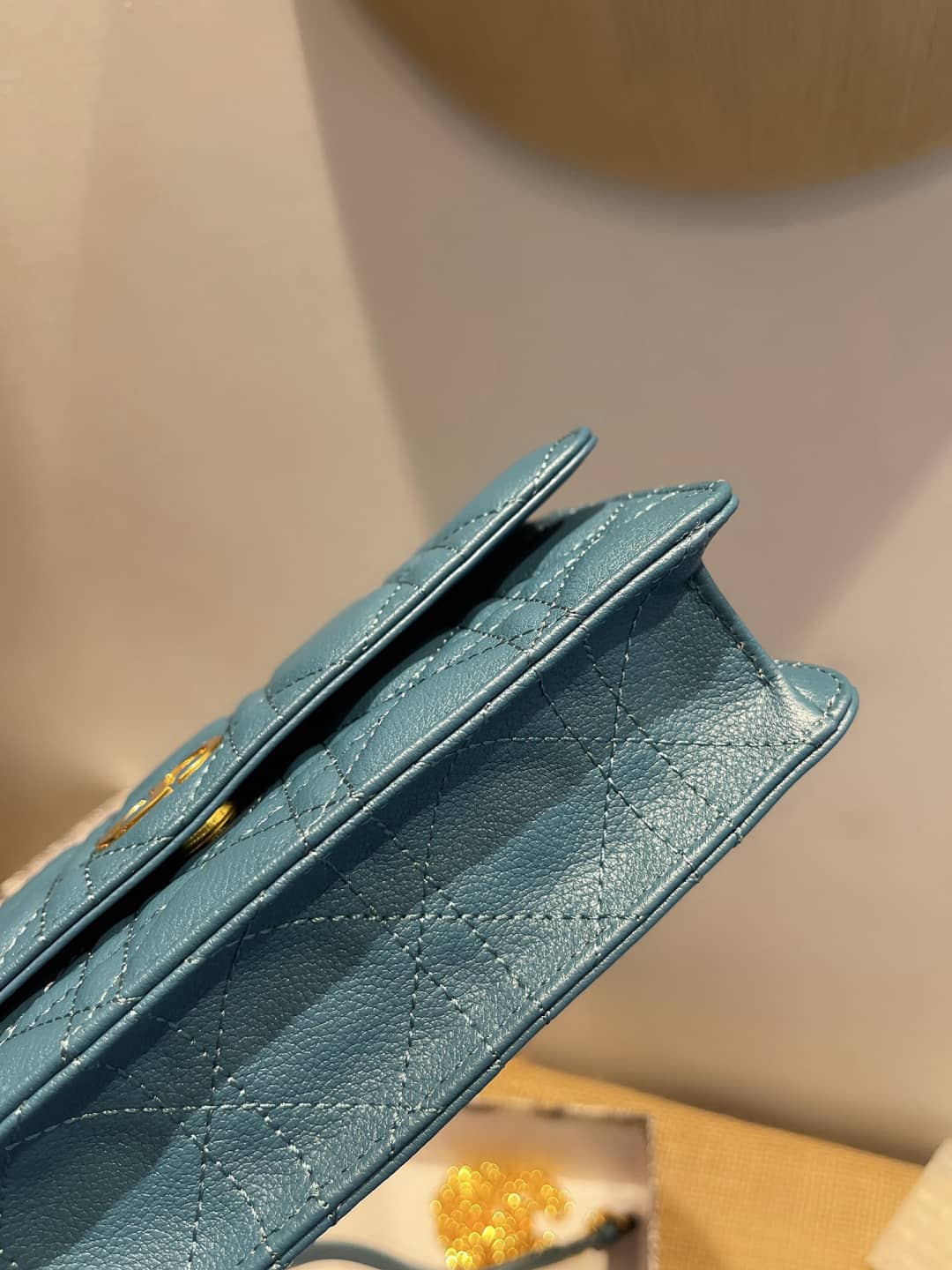 Chr1st1an D10r Caro Chain Belt Replica Pouch