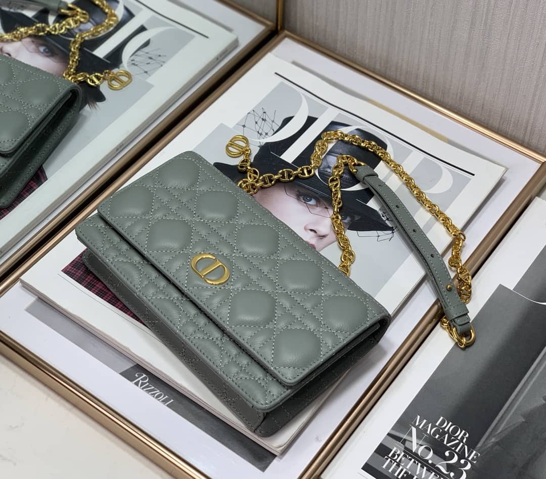 Chr1st1an D10r Caro Chain Belt Replica Pouch