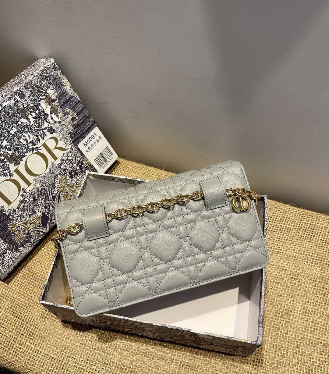 Chr1st1an D10r Caro Chain Belt Replica Pouch